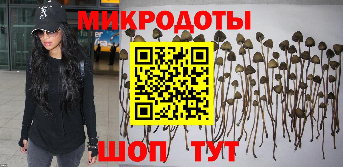 Псилоцибиновые грибы GOLDEN TEACHER Озёрск